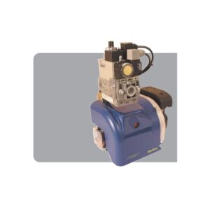 Ecoflam MAX GAS 40 P –Venta en México